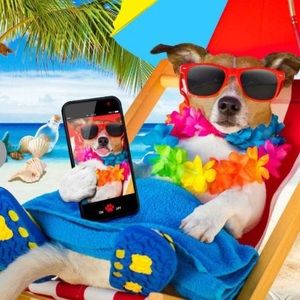 Vacation dog 100 piece puzzle